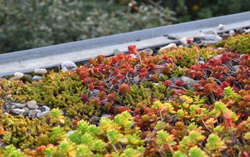 the cost of Rimswell green roof installation