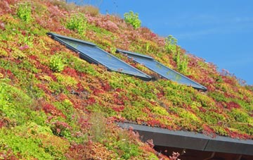 Rimswell living roof systems